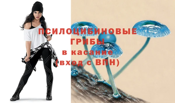 трава Карталы