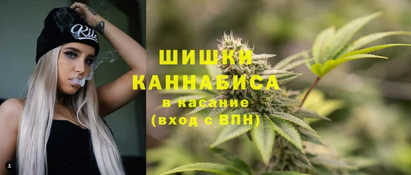 2c-b Карпинск