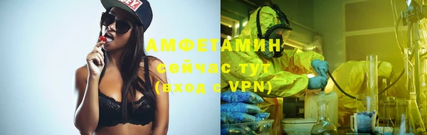 молекула духа Касимов