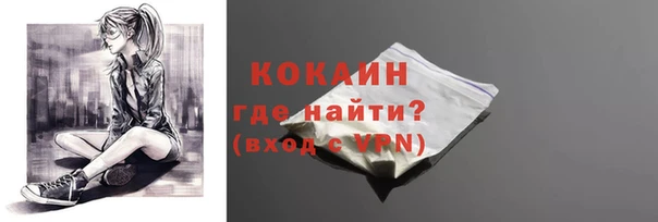 молекула духа Касимов