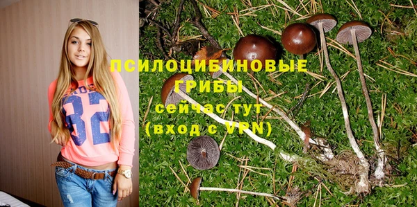 молекула духа Касимов
