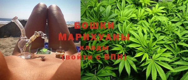 молекула духа Касимов