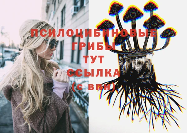 2c-b Карпинск